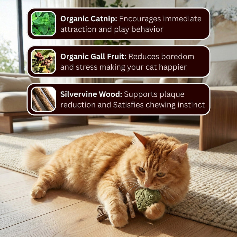 Catnip & Silvervine Chew detail view