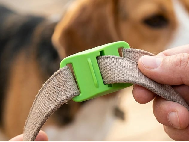 🐕12 Months Flea and Tick Free⏰ detail view